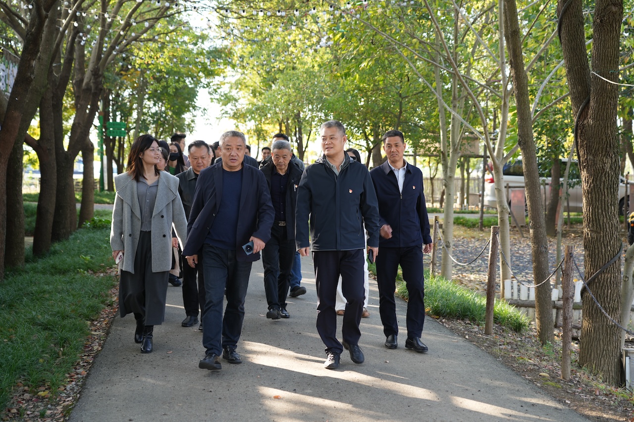 1763185544770713.jpg DSC06509.JPG